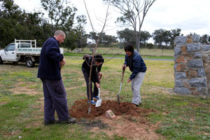 cowra12 03